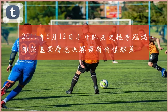 2011年6月12日小牛队历史性夺冠诺维茨基荣膺总决赛最有价值球员