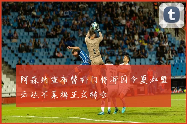 阿森纳宣布替补门将海因今夏加盟云达不莱梅正式转会
